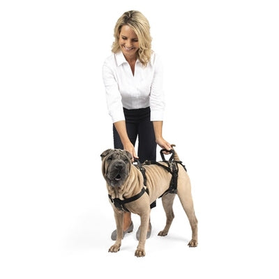 Solvit Petsafe Carelift Voor En Achter