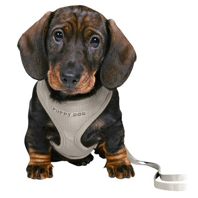 Trixie Junior Puppytuig Soft Met Riem Lichtgrijs