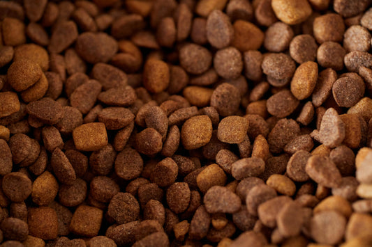 Voedselallergie bij Labradoodles herkennen: symptomen en oplossingen