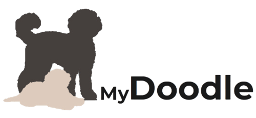 MyDoodle.nl