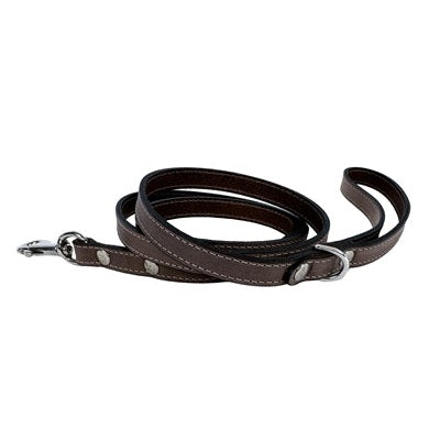 Sazzz Sa Hondenriem Fearless Vintage Leer Bruin