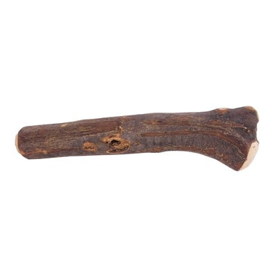 Dog Woodzzz Olijfhout