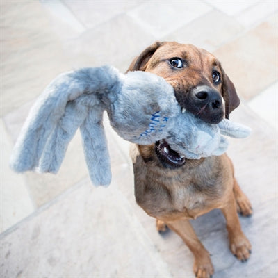 Kong Wubba Friend Assorti