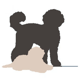 MyDoodle.nl