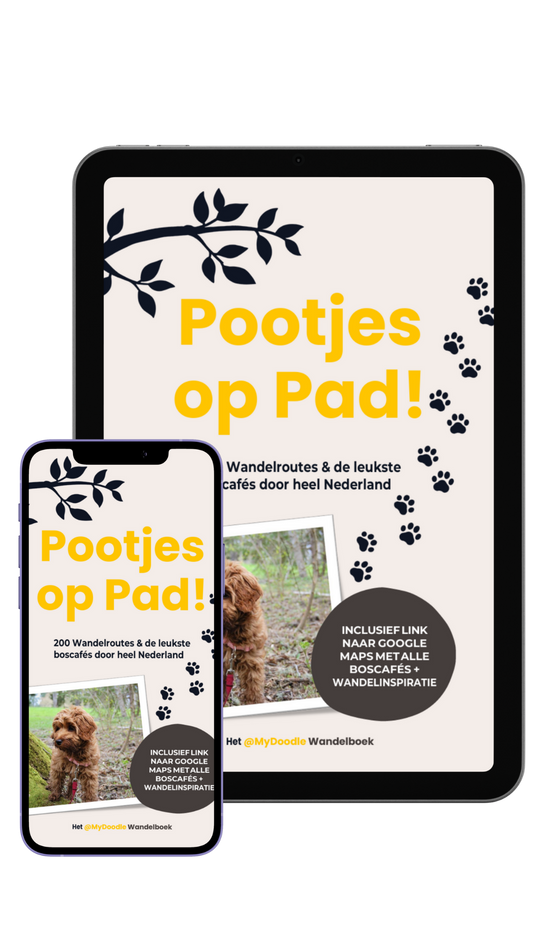 🐾 Pootjes op Pad! – Digitale E-Book Editie