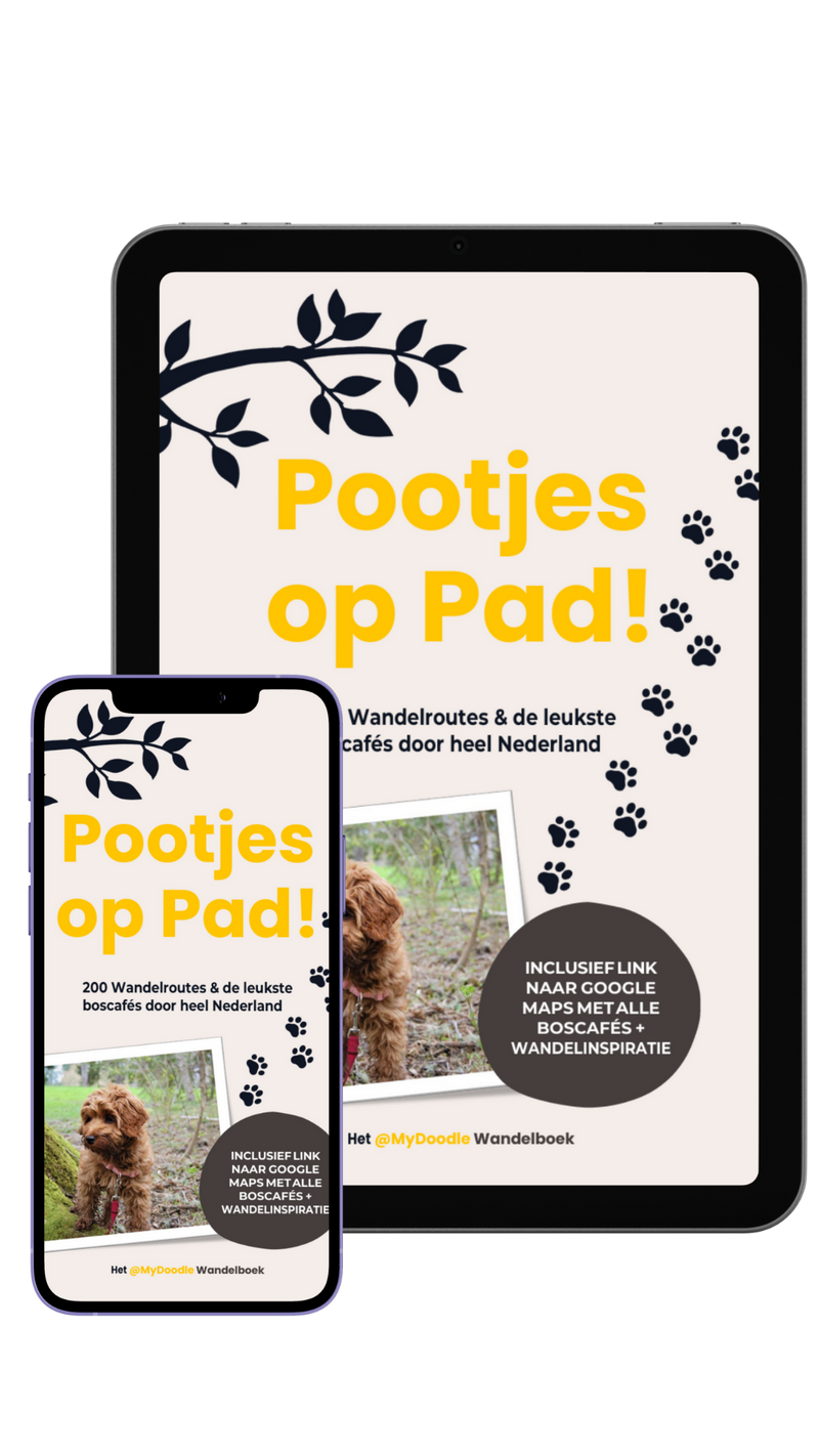 🐾 Pootjes op Pad! – Digitale E-Book Editie
