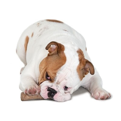Petstages Dogwood Durable Stick