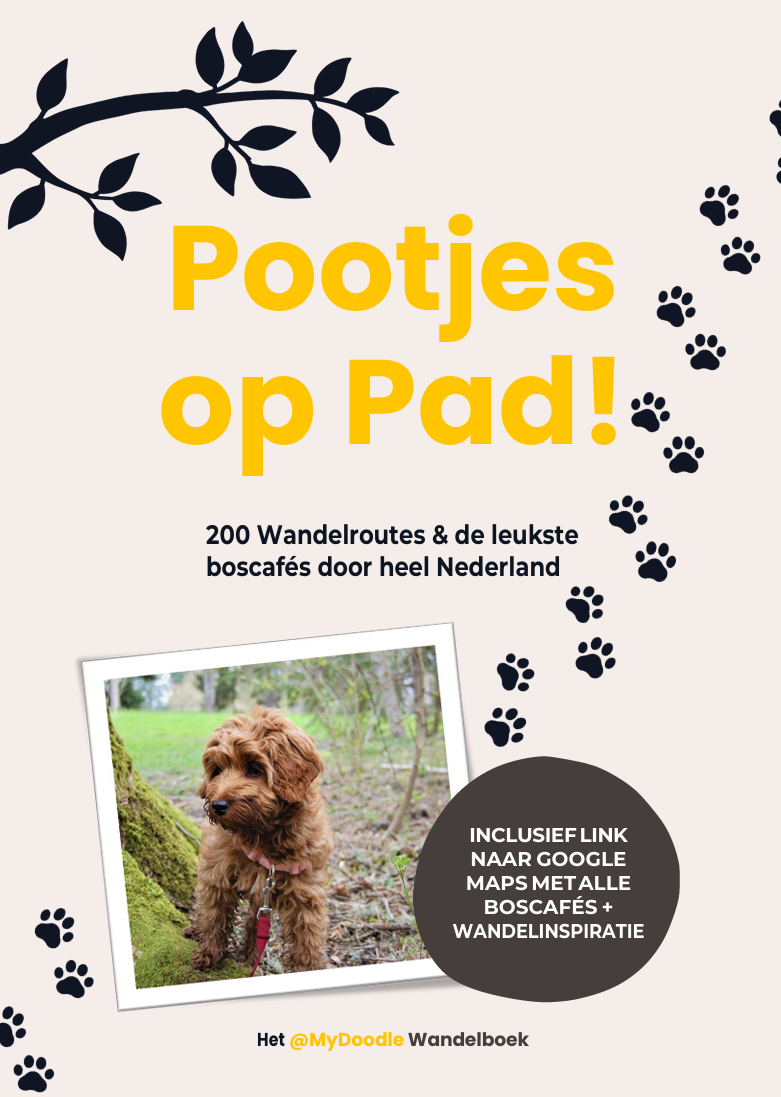 🐾 Pootjes op Pad! - Bundel (Hardcover & E-Book)